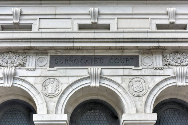 istock Surrougate's Courthouse - New York City 1133306492