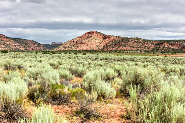 istock Johnson Canyon Road - Utah 1133307925