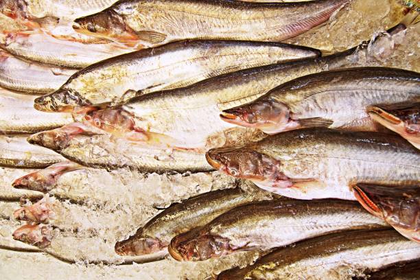 istock Fresh fish on ice in Bangkok fish market. 1133308749