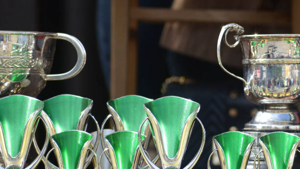 istock Trophies for the Champions 1133311171