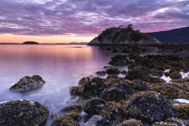 Whytecliff park sunset in winter, West Vancouver, BC, Canada Whytecliff park sunset in winter, West Vancouver, BC, Canada mussel rock park stock pictures, royalty-free photos & images