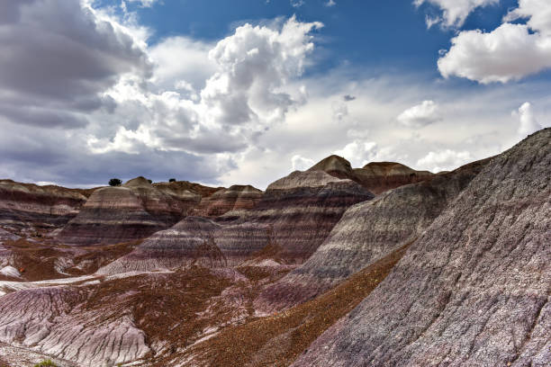 istock Blue Mesa - Petrified Forest National Park 1133317492