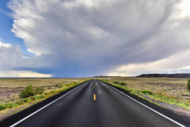 istock Highway along Petrified Forest National Park 1133323054
