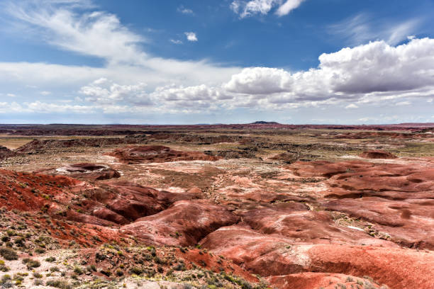 istock Lacey Point - Petrified Forest National Park 1133323123