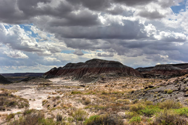 istock Petrified Forest National Park 1133323343