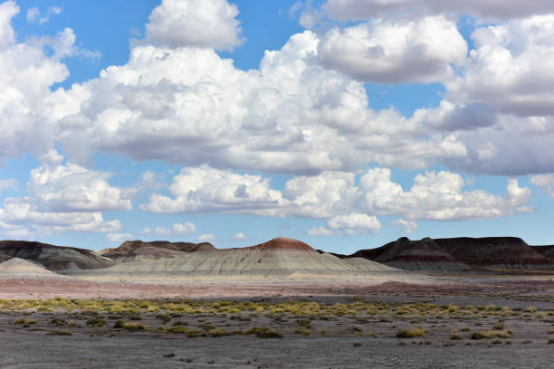 istock The Tepees - Petrified Forest National Park 1133325719