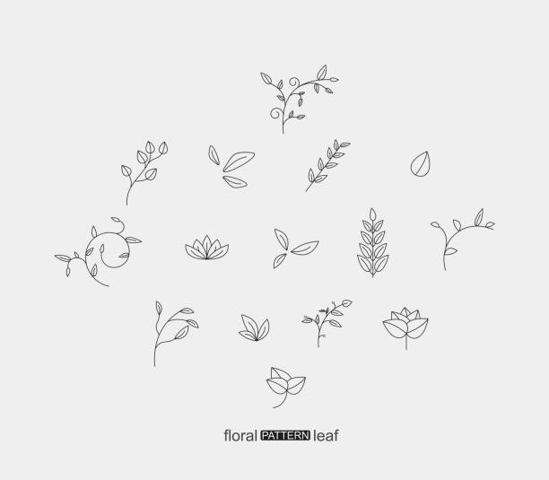 ilustraciones, imágenes clip art, dibujos animados e iconos de stock de conjunto de planta floral y patrón de hoja icono - logotipo ilustraciones