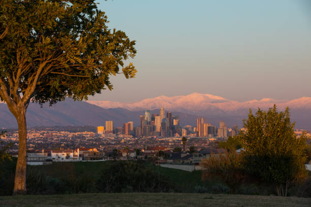 istock Los Angeles Skyline 1133327569