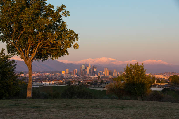 istock Los Angeles Skyline 1133327579