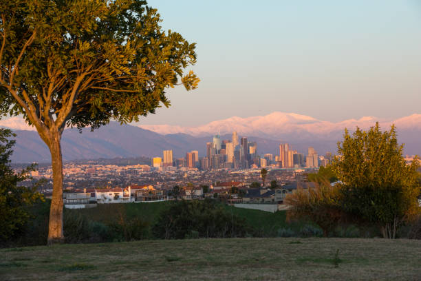 istock Los Angeles Skyline 1133327580