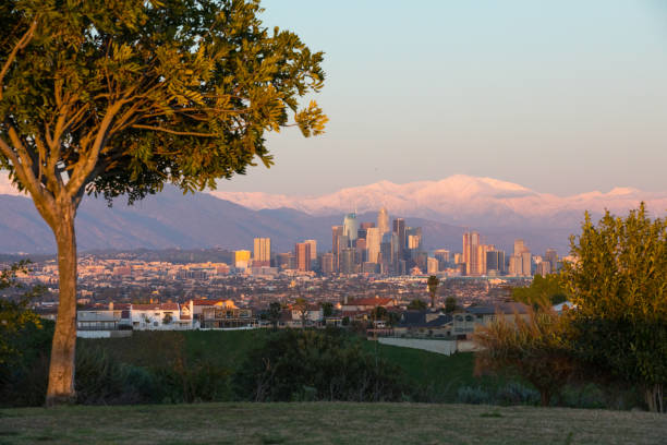 istock Los Angeles Skyline 1133327582