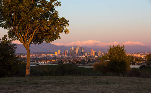 istock Los Angeles Skyline 1133327594
