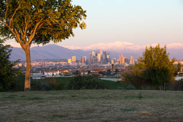 istock Los Angeles Skyline 1133327595