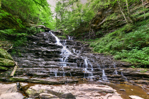 istock Ricketts Glen State Park - Pennsylvania 1133327877