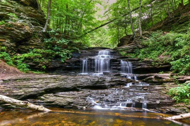 istock Ricketts Glen State Park - Pennsylvania 1133327935