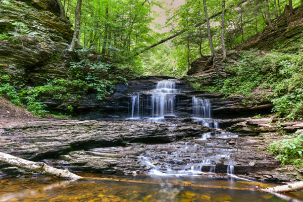 istock Ricketts Glen State Park - Pennsylvania 1133327989