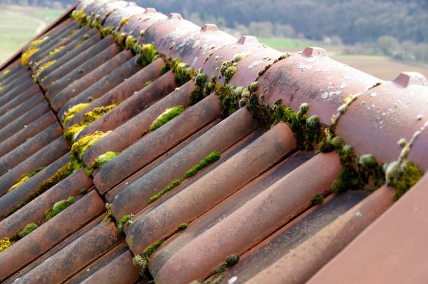 roof tile with first of a device hut - konstruktion imagens e fotografias de stock