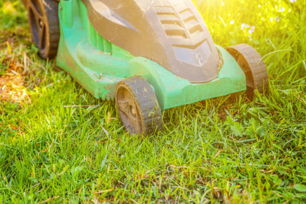 istock Lawn mower cutting green grass in backyard 1133337186