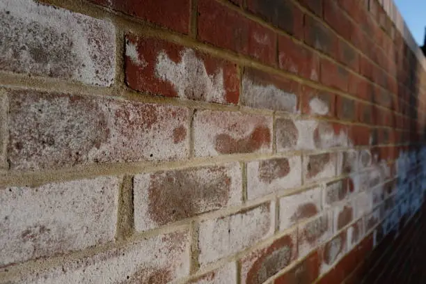 Maidenhead, England - February 23, 2019: a white, salty, crystalline deposit known as efflorescence can appear on masonry walls.  Whilst it doesn't affect a building structurally, it does have an impact on its appearance.  There are a number of reasons for its cause.