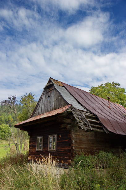old abandoned wooden house near forest