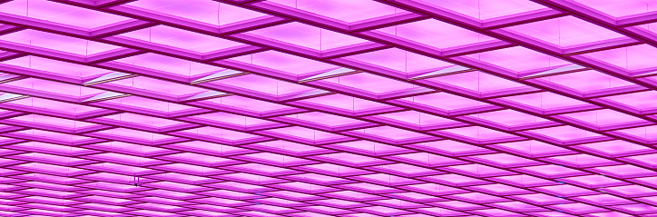Pink light building background