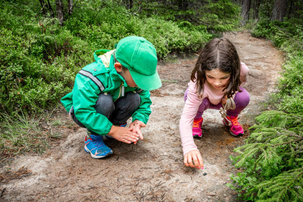 Little children boy and girl sitting on forest ground exploring and learning about nature and insects. Looking at a black bug. stock photo