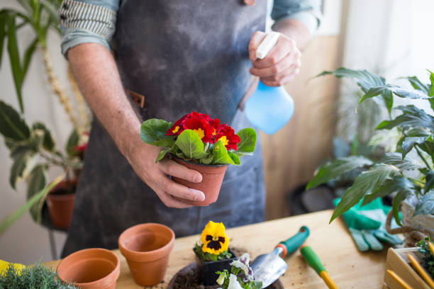 istock Taking good care of my flowers 1133353739