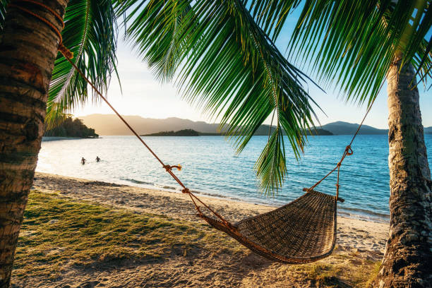 Hammock between two palm trees on the beach at sunset Empty hammock between two palm trees on the beach at sunset. Silhouette of couple in the background in sea. Holiday and vacation concept hammock stock pictures, royalty-free photos & images