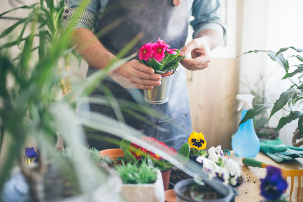 istock Man planting a flower 1133353922