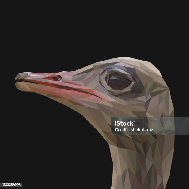 Ostrich Low Poly Design Triangle Vector Illustration Stock Illustration - Download Image Now