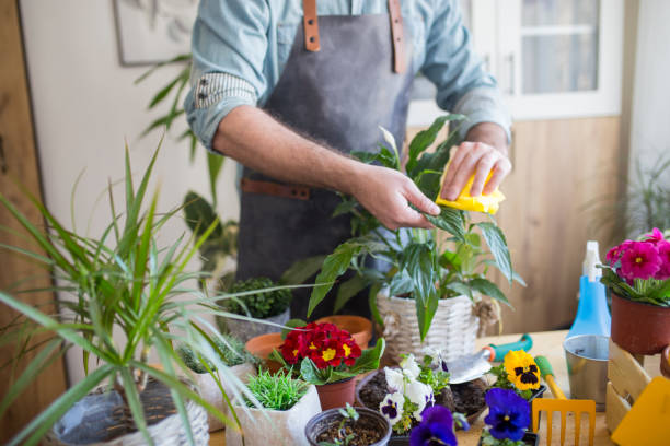 istock Taking good care of my plants 1133355658