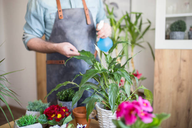 istock Taking good care of my plants 1133355678