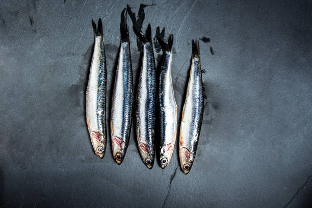 istock Raw Anchovies on a slate plate 1133355880