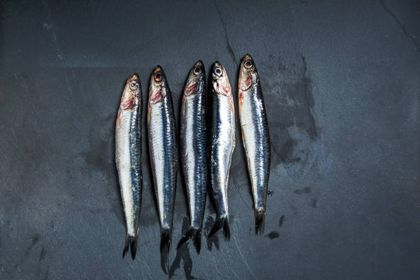 Raw Anchovies on a slate plate