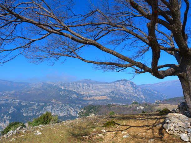 The stone bench, Courmettes plateau, Alpes-Maritimes