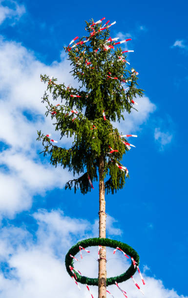 árbol de mayo en primavera - bavaria austria blue celebration fotografías e imágenes de stock