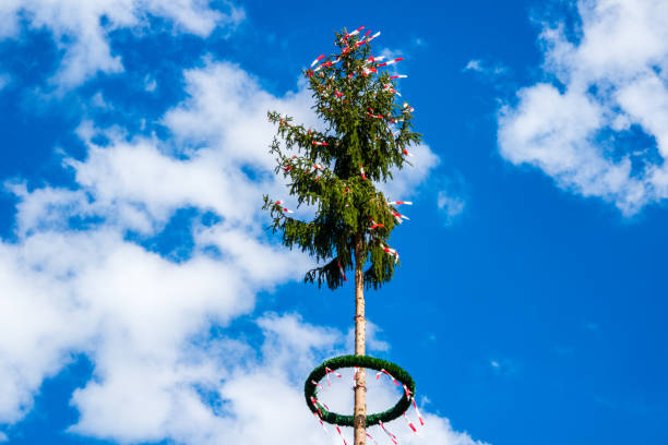 árbol del poste de mayo en resorte - bavaria austria blue celebration fotografías e imágenes de stock