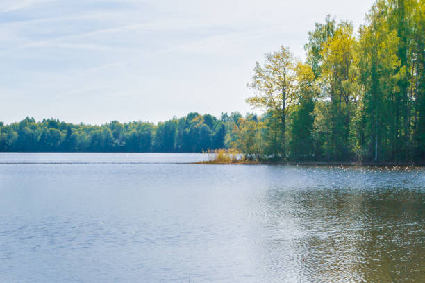 istock Large forest lake in spring in clear weather 1133357673