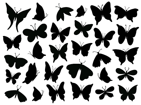 Papillon silhouette. Mariposa butterfly wing, moth wings silhouettes and spring flower butterflies. Fluttering monarch insect or papillon isolated vector illustration icons set