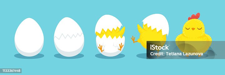 3,018 Egg Hatch Illustrations & Clip Art - iStock | Easter egg hatch, Egg  hatch vector, Chick egg hatch