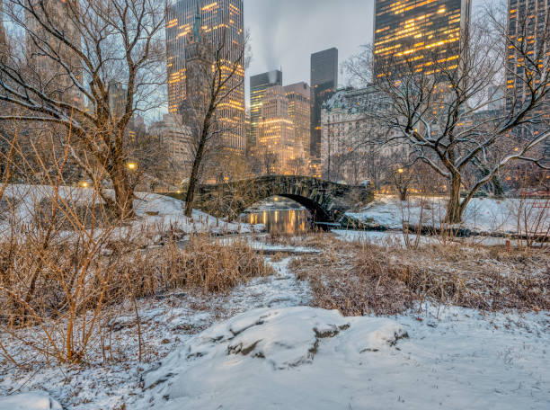 istock Gapstow Bridge after snow storm 1133364762