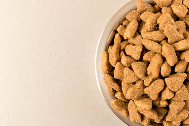 istock Bowl with dog food on a light background . Close up. 1133365235