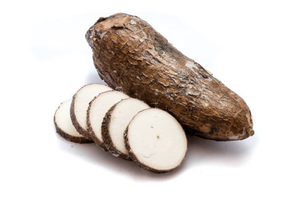 cassava isolé sur le fond blanc - yucca photos et images de collection
