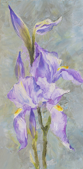 Fashionable illustration modern art work my original oil painting on canvas vertical summer landscape blooming purple iris in impressionism style on bright gray background