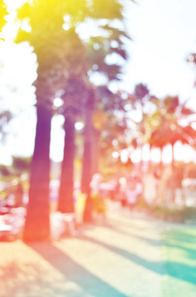 istock Abstract blurred image.  Summer nature scene beach, sky and coconut palm trees. Holiday vacation concept. 1133369572