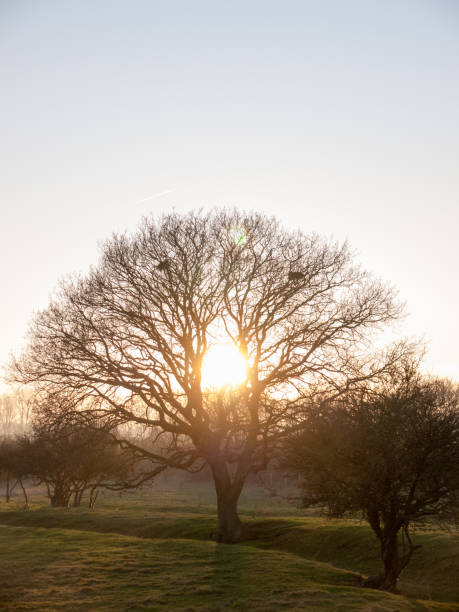 istock Beautiful countryside Dedham water scene outside nature landscape space 1133369864