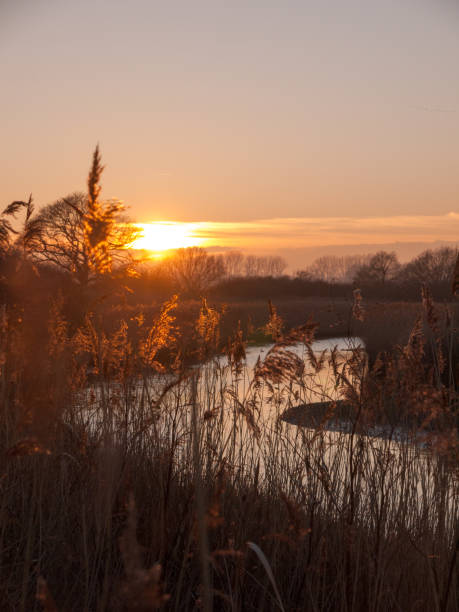 splendida campagna dedham scena d'acqua al di fuori dello spazio paesaggistico naturale - essex foto e immagini stock