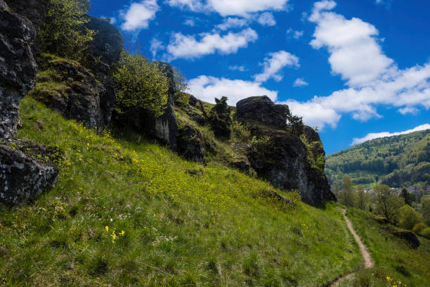 rock landscape on the altmühltal panorama path - altmühltal imagens e fotografias de stock