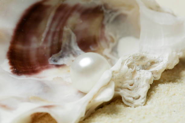 istock Close up image of organic pearl in a shell 1133371578