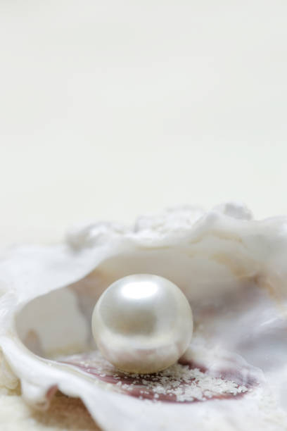 istock Close up image of organic pearl in a shell 1133373224